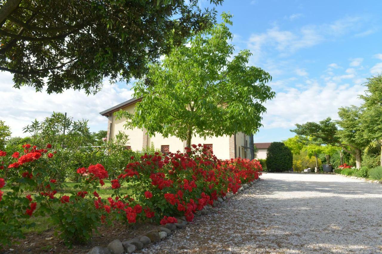 B&B Ca Di Viazadur Faenza Extérieur photo